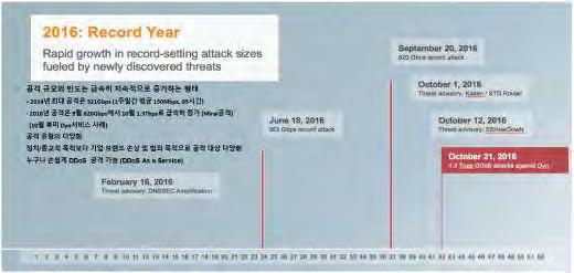 봇넷기반 DDoS