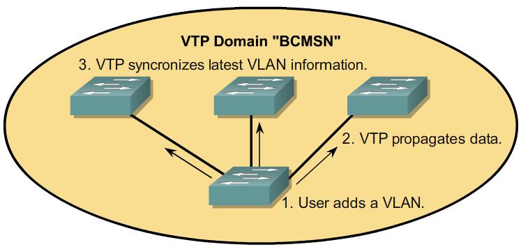 VTP Protocol VLAN 설정핚정보를광고핚다 VTP Domain 에속핚