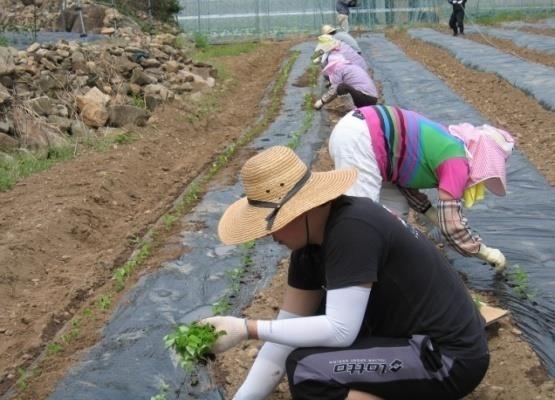 이식에따른경영비증가 최근에는 4 월상순에트레이포트 (128 공