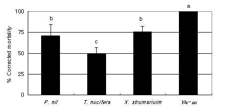 Lee et al. : Acaricidal Efficacy of Herbal Extracts against Tetranychus urticae (Acarina: Tetranychidae) 157 3.3 살비효과 pot 실험실내실험에서활성이높았던한약재를 1,000 ppm 으로희석시킨후분무법으로 pot처리한결과는 Fig. 2와같았다.