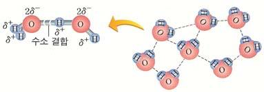 !, 는아님 F,O,N과 H가직접연결되어야함 구조 모형 공유결합산소원자와수소원자사이의결합굽은형구조 공유전자가산소쪽으로치우침극성 산소원자는 (-) 전하, 수소원자는