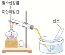 비료공장등에서고정탈질소탈질소세균에의해생물의사체나배설물로부터질소가공기중으로되돌과정아간다.