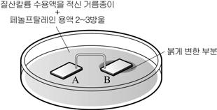 왕수와반응 Thema 03 금속의반응성실험 반응성 : 세개의비커에물을넣고 ( 가 ) 에는금속 M을, ( 나 )