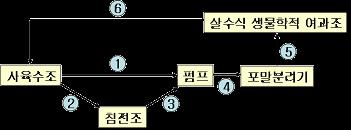 - 시스템개념도 중앙배출구 ( 큰고형물이침전조로배출 ) 펌프소량의물과함께 침전조 ( 큰고형물침전 ) 집적된고형물최종배출