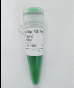 PCR 효소의선택가이드 단순증폭 : Colony PCR, 단순확인용 PCR 막 Taq?