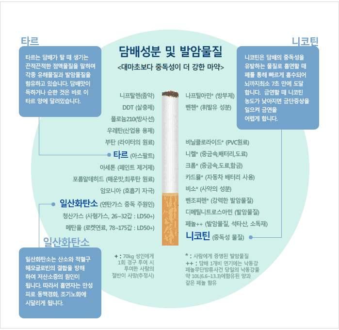 담배의유해성