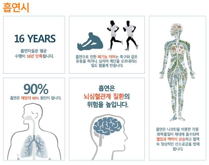 종의발암물질과