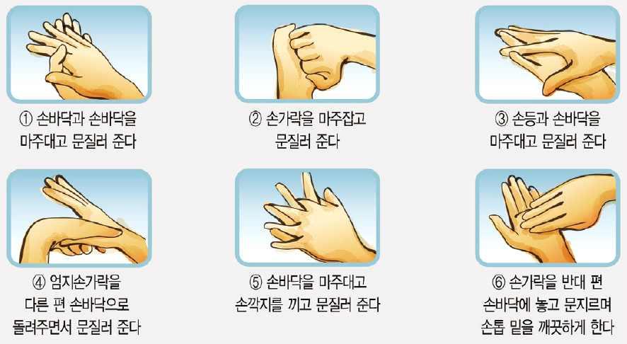 학생행동요령 감염병예방안전수칙 손을깨끗이씻는다 예방접종을철저히한다 식수는끓인물이나생수를마시도록한다 여름철조리음식을상온에보관하지않는다