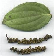 Wayanad에 Herbal Park가, Rubber Park가 Ernakulam,