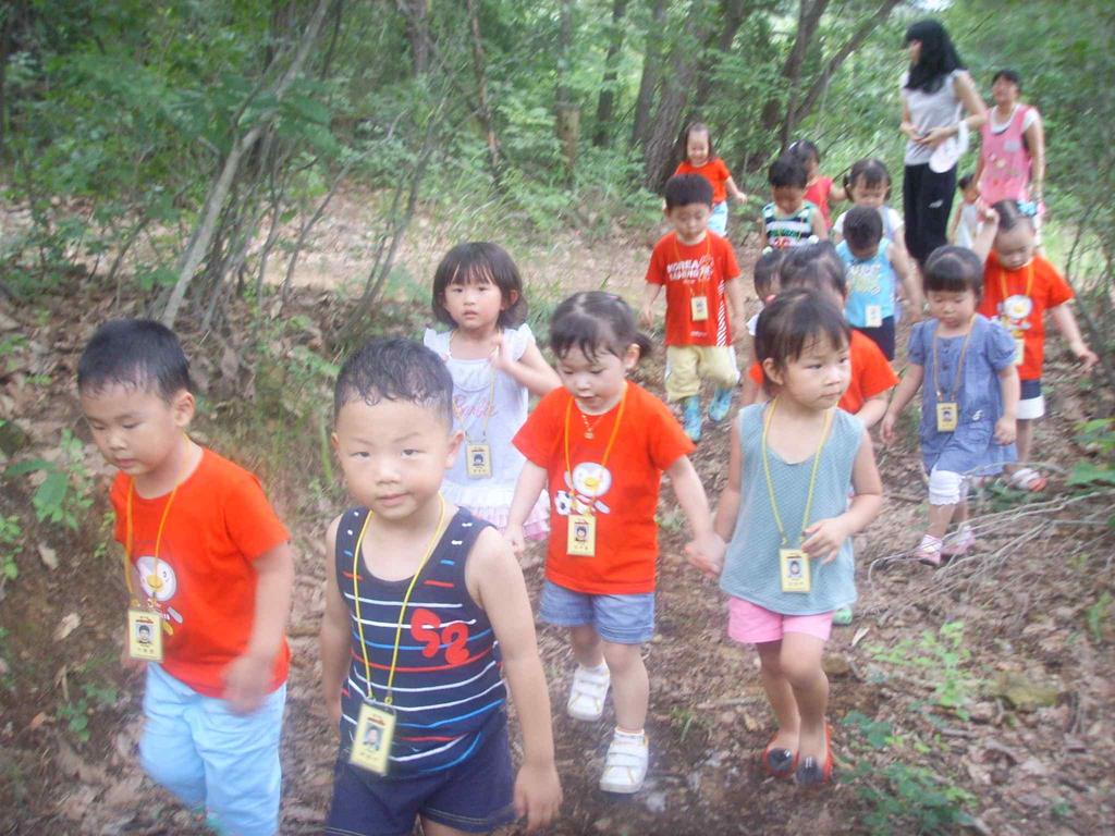 쉐플러, 파라볼릭 ) 수소자동차 ᆞ환경특강 ( 지구온난화 / 숲활용방안 / 인류소비활동과환경 ) ᆞ환경분과활동 ( 수서곤충, 수질오염, 곤충의생태, 생태공예 ) 진행방법 : 각학교학년별로연수진행 ( 숙박형 ) 4.