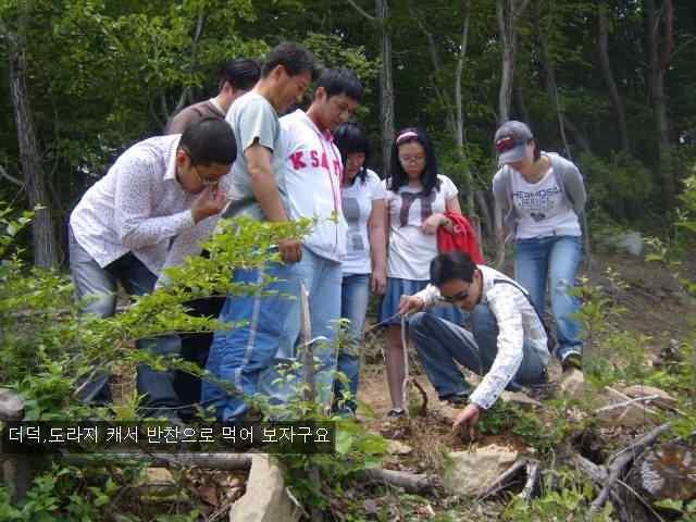 21. 가야산알찬학교 : 가야약선영농조합법인 : 충남예산군덕산면시량리 439-5 번지 홈페이지 : 없음 전화번호 : 041-337-6874 교육대상 : 박광수 : 중고생, 대학생및일반 교육시간 : 2 박 3 일숙박형 ᆞ 친환경적인마음을갖고서로를배려하는마음제고 ᆞ