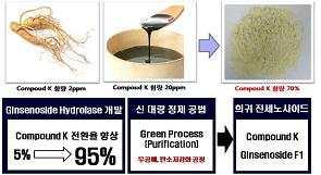 2009 대한민국 10 대신기술 [ 기술개요 ] 희귀홍삼성분인 Compound K와 Ginsenoside F1을친환경적인생물전환기술을개발하여대량제조에성공하였고, 최첨단생명공학기술인오믹스기술을통해세계최초로피부에서의활성을입증하였다.