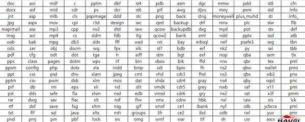 [ 표 2] 감염대상확장자목록 현재에레보스랜섬웨어는웹호스팅업체의각서비스의중요데이터들을감염시켰고, 홈페이지의일