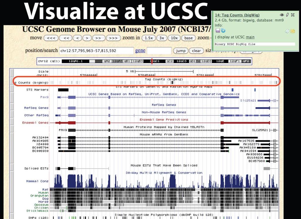 Galaxy visualization External Genome Browser UCSC Ensembl GBrowse Trackster
