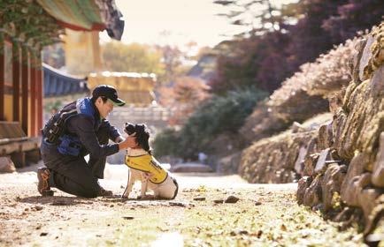 그리고대한민국유일의민간긴급구조기관인 3119구조단은최첨단장비와고도의기술력으로수많은사고현장에서구조활동을진행하고있습니다. 평상시에는시민들을대상으로재난관리및응급처치, 비상시행동요령등안전교육훈련에힘쓰고있습니다. 운영비용을절감할수있습니다. 연구개발 인재양성 혁신적인기술개발로첨단안심보안솔루션의새로운표준을만듭니다.