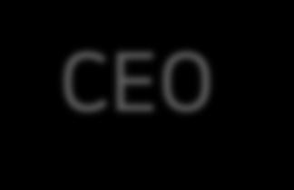 CEO Strategic Consulting Business Division Digital Consulting Group Marketing Group Consultant 2 명 Available HR Manager 1 명 Solution R&D Planer 8 명 Management