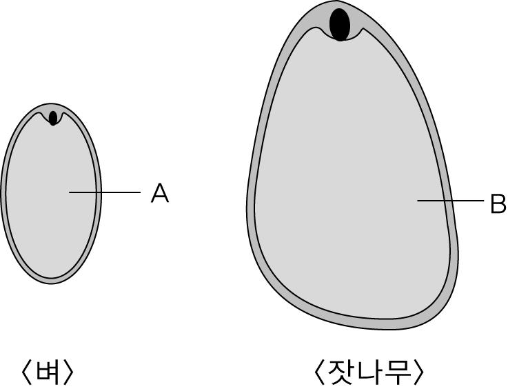 수험번호 : 7 다음 ( 가 )~ ) ( 다 ) 중귀납주의에해당하는것을고르고 이를 가설연역적실험으로바꾸어쓰시오 [4 점 ( 가) 학생 A는학교건물뒤의음지에는이끼가많지만 아스팔트길에는없는것을관찰하고햇빛이이끼의 생장에영향을미친다고생각하였다 ( 나) 학생 B 는미지의액체에돼지고기 쇠고기 빵및양 배추한조각씩을넣어서일정시간간격으로관찰하