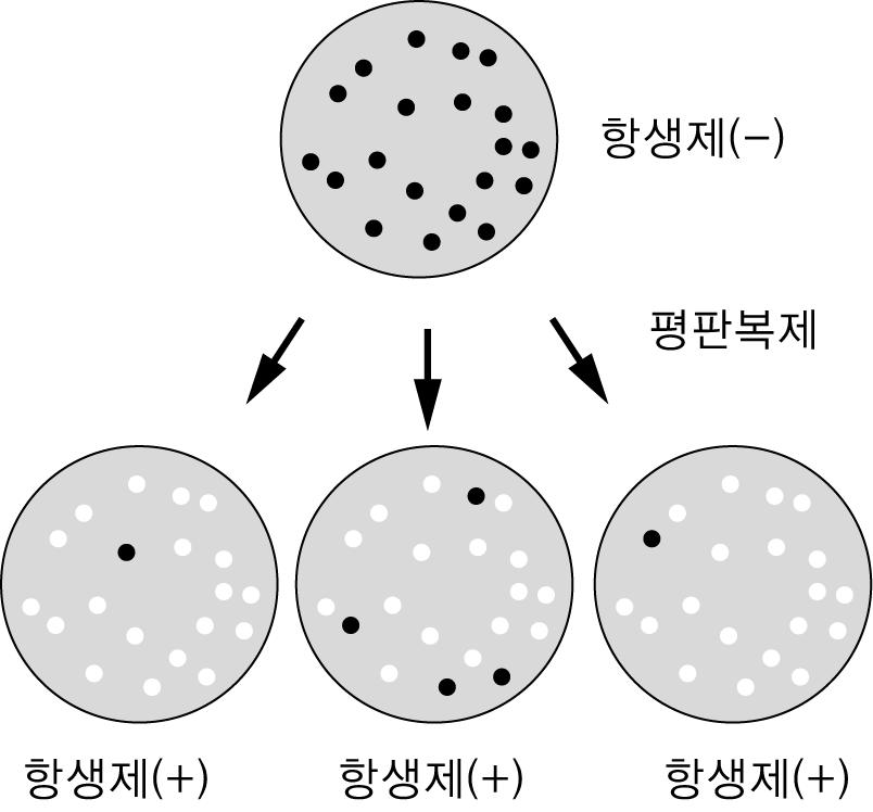 수험번호 : 21 항생제를처리하면대부분의세균이사멸하지만항생제에 22 알데히드탈수소효소는간에서발현되어알코올분해를 저항성을보이는세균이낮은빈도로관찰된다 가설로설명할수있다 이는두가지 돕는다 사람에게는이효소에대해 Ⅰ 형과 Ⅱ 형의두가지대립유전자가존재한다 이유전자는다음과같은특징을 가설 1 항생제를처리함으로써집단내에이미존재하고있는저항성개체가선별된것이다 가설 2