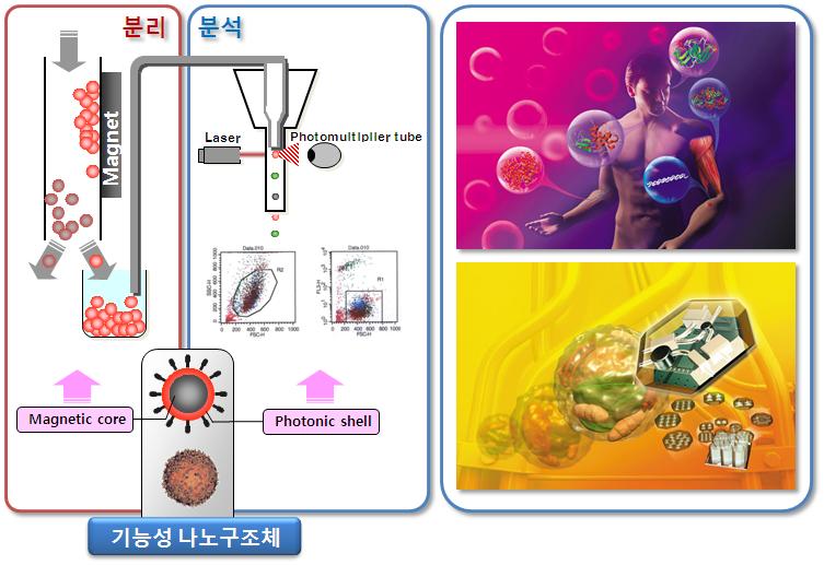 4. 미래유망파이오니어사업기획과제공모및선정 4.1 추진경과 06. 10.~11. 미래유망파이오니어기획연구사업공모 : 접수된총 200건의과제중 30개기획연구과제발굴 06. 12.~ 07.9. 30개과제별기획연구실시 - 07. 3.~6. 특허청주관과제별특허기술동향조사 - 07. 8.~9. 과제별국가 R&D 전략매칭컨설팅실시 07. 10. 기획결과보고서제출 07.