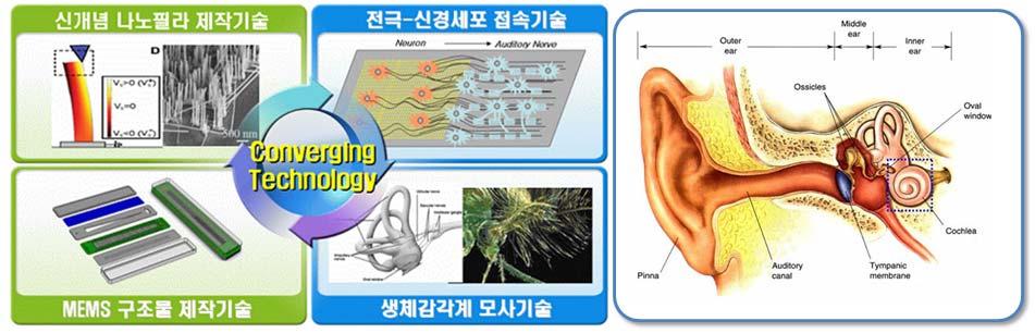 BT 기반 생체에너지이용인공감각계구현 생체에너지를이용하여자가전원이가능한인공감각계구현 기존바이오닉소자는외부전원공급방식의기술임.