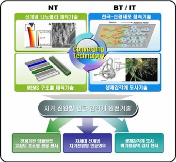 구조의기능을모방하고나노및바이오기술을이용하여자가전원 (self-powering) 이가능한인공감각계를구현하고자하는연구기획 귀의전체구조와내이 ( 달팽이관 ) 의구조 기획내용