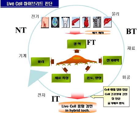 기획 4 광기술기반비침습성암진단기술개발 과제명 : 생체세포하이브리드진단기술개발 기존기술 : 인체에서조직을채취하여다수의생화학적인프로세스검사를통하여암의존재를검진 혁신적신기술 : 비접촉식으로단일세포레벨에서간단하게진단할수있는신개념의 in vivo 암세포진단용 Tool을개발 개요 인체에서조직채취없이단일세포레벨에서인체내의암세포를찾아내는기술이며기존에는없는기술임 (