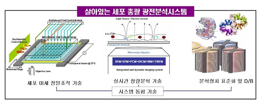 기획 6 세포의생명현상을측정 / 분석하는통합시스템기술 과제명 : 살아있는세포의동적정량가시화및측정을위한총괄광전분석시스템 기존기술 : 세포내부의나노수준의 3차원입자추적, 세포와바닥면과의접촉상태등의정량적정밀측정불가능 와해적신기술 : 바이오칩기반의배양및세포전처리, 세포조작의자동 / 반자동화에의한연구의효율상승및재현성확보 기획대상기술의개요