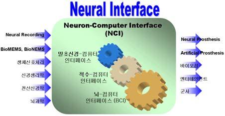 기획 9 신경조직과외부환경을연결하는신경인터페이싱기술 과제명 : 인간기능의회복및증진을위한 NT/IT 기반의 NEURON-COMPUTER INTERFACE 기술 기존기술 : 신경신호를전기신호로변환하는초보적인연구가진행중이며일부실험을진행하는상태이나신경신호전달신뢰성이떨어짐 혁신적신기술 : 인간신경,