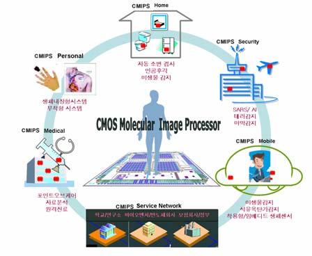 기획대상기술의특성 CMOS/ 신호처리층, 나노트랜스듀서층, 및바이오 / 화학응용층등이유기적으로결합된새로운개념의어레이형분자감응시스템의요소및융합기술 나노선및초박막센서, 나노트랜스듀서전용 CMOS 설계, 앺타머바이오마커, 핵산, 단백질, 및바이러스센싱, 어레이신호처리및소프트웨어이용분석, 통신기술연구등을포함 제안된융합기술의중요성 현재의광학적바이오 /