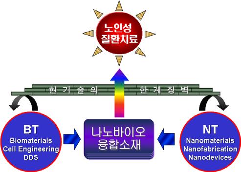 기획 11 노인성질환치료용나노바이오융합소재기술 과제명 : 고령친화형차세대나노바이오융합소재 기존기술 : 비타민등신진대사를원활히하는약제, 관절염완화제등일반화학약제또는생약제를투입하는상태이며노인성질환의치료는어려움 와해적신기술 : 골다공증, 관절염등의노환을완화시키는것이아니라실질적인치료가가능한기술임 기획대상기술의개요