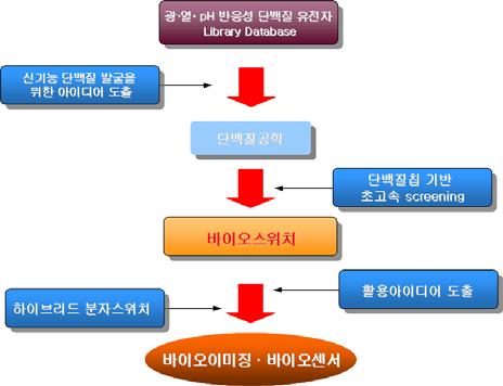 기획 12 분자진단 / 이미징을위한신개념바이오스위치기술 과제명 : 분자진단ㆍ이미징을위한신개념바이오스위치원천기술 기존기술 : 기존의바이오이미징시스템은배경신호를완벽히제거하는것이불가능하므로해상도의한계점을갖고있음.