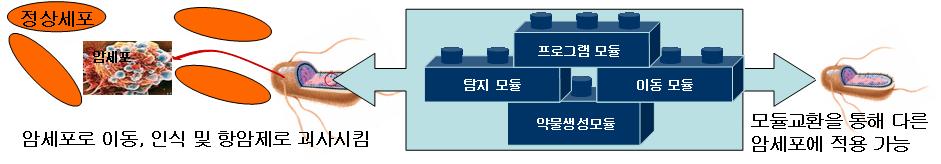 일차적으로특정부신호를처리하는 signaling 모듈이추가된박테리아의합성에주력하고이러한박테리아의완성으로연구의실현가능성을검증 기획대상기술의특성 복잡한생체시스템의구성요소를추상화, 표준화, 모듈화하여각기능단위를대표하는표준화된모듈의라이브러리구축 생체모듈의조합으로원하는기능을수행하는새로운바이오시스템을손쉽게설계, 합성하고이를상업적으로이용 응용예 : 암세포공격박테리아