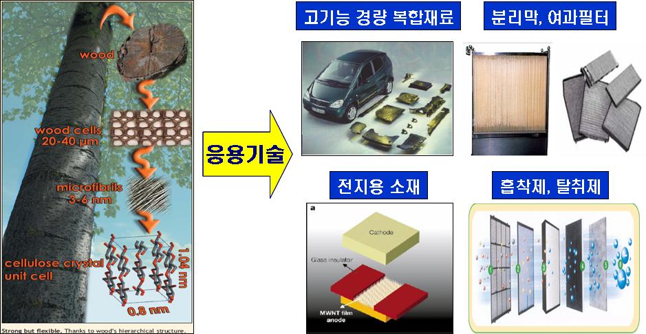 기획 20 나노임산자원을이용한에너지 / 환경소재기술 과제명 : 나노임산자원을이용한나노 - 바이오하이브리드에너지소재 기존기술 : 유리섬유보강고분자복합재료에서유리섬유보강제를천연섬유와같은천연소재로대체하여친환경및에너지절약특성이우수한자동차및건축물의내 외장재를개발하고실용화하고있음 혁신적기술 :