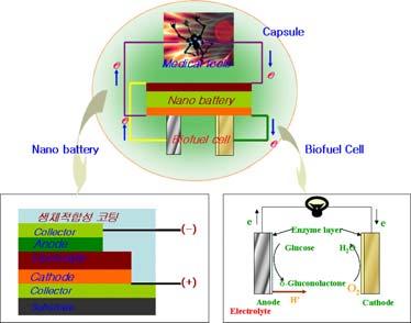 기획 23 인체이식용자가발전 / 충전가능나노연료전지기술 과제명 : 인체이식가능한융합형나노배터리 / 생체연료전지전원시스템 기존기술 : 피하의체액이나척추에삽입가능한생체연료전지개발및 3차원나노구조전극연구는수행되고있으나생체연료전지와 2차전지의융합기술은선례가없음 혁신적기술 :