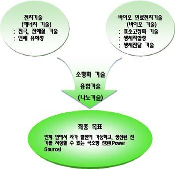 생체물질을이용한고효율장수명의생체연료전지 3차원나노구조전극, 고체전해질제조공정확립을통한나노배터리 생체연료전지와나노구조배터리를결합한융합회로기술