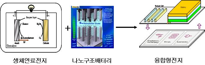 인체이식형의료기기의전원으로서사용되는일차전지는많은문제가있음 자가발전형극소형전원시스템을통한문제점해결 본연구과제수행시기대효과 2016년경 3조원대의신규시장형성및 40억불수출예상 ( 근거자료 :