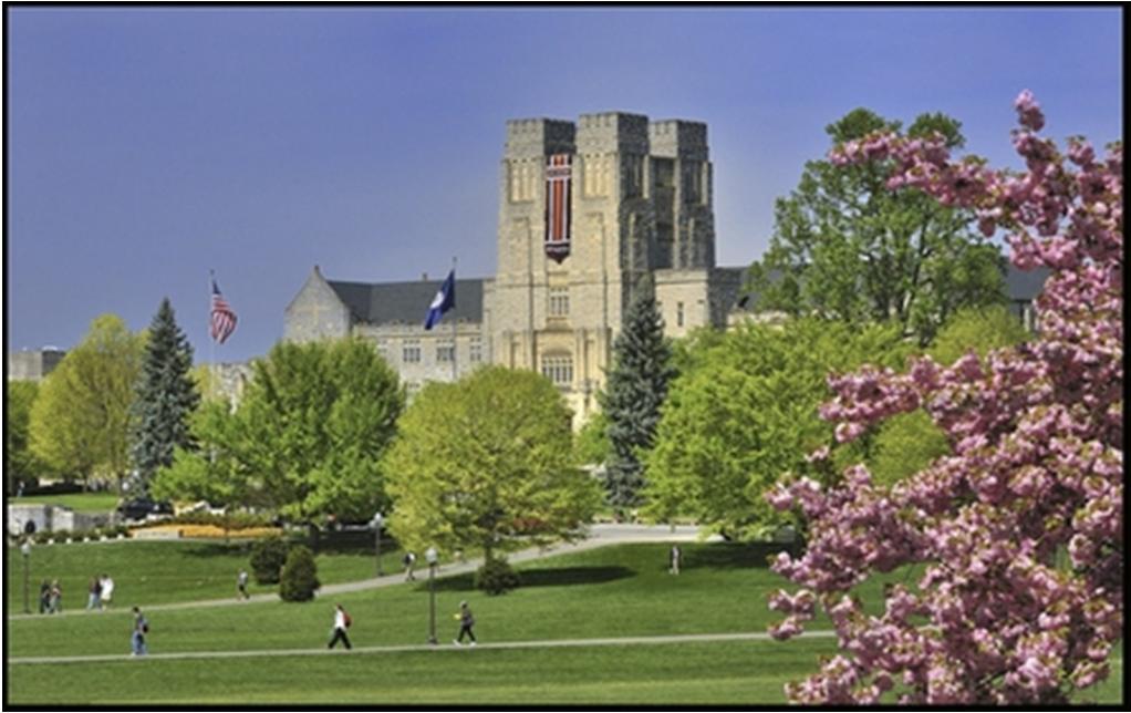 Virginia Tech- Pamplin College 역사: 1872년 학부: 24,034명