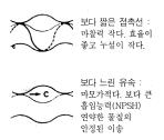 출량의제한과펌프에치명적인공동현상 (Caviation) 을유발할수있다. 특히, 점성이높은액체의경우장피치로타는이송자체가불가능할수도있다. 또한장피치로타는길고넓은밀봉선 ( 금속제로타와탄성고무제스테이터의나선형접촉선 ) 을유발하므로단피치보다심한마모와동력손실을유발한다. 그렇다고피치를지나치게짧게하면오히려원주방향속도가너무커져서불필요한마모를유발한다.