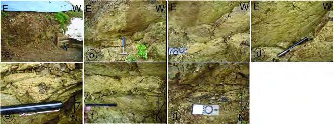 o 좌표 : N35 17'27.40", E128 22'26.82" o 단층기술 : 경상남도함안군가야읍서편묘사리석산마을부근에는남해고속도로와평행하게서북서방향의장대단층이달리고있다 ( 그림 2.21.2). 석산저수지남측에서는수 m 폭의단층파쇄대가확인되었다.