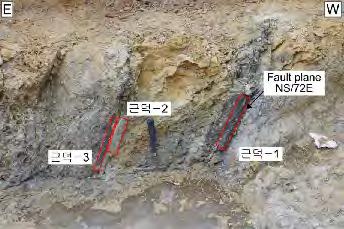 단층면의방향은 NS/72 E 이며, 단층암시료근덕-1, 근덕-2, 근덕-3은 N37 2 2 57.7 E129 12 12.1 지점의편마암에발달된단층에서채취하였다. 시료근덕-1은 15cm 폭의암회색을띠는단층비지에서, 시료근덕-2 는 7cm 폭의밝은회색을띠는단층비지, 시료근덕-3은 2.5cm 폭의암회색을띠는단층비지대에서채취하였다 ( 그림 3.1.12).