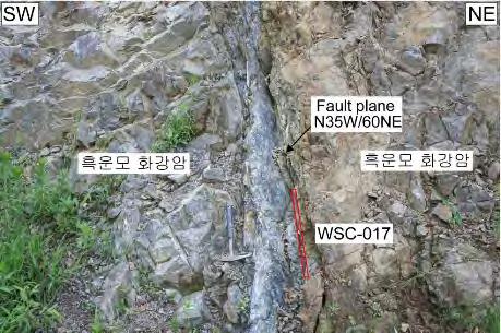 대에규장질암맥이관입되었으며, 단층비지가고화되었다 ( 그림 3.1.20). 단층암시료 WSC017에서분리된석영속의 E 신호는모든입자크기에서조사된감마에너지양이증가함에따라포화지수함수곡선을따라규칙적으로증가한다 ( 그림 3.1.21 a). Al 신호는모든입자크기에서조사된감마에너지의양이증가함에따라 ESR 신호의세기는불규칙하게감소및증가를반복한다.