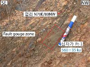 단층비지가고화되어있는것이특징이다 ( 그림 3.1.45). 단층비지시료십자가 Ft-2-2는 N36 15 24.04 E126 59 59.71 E 지점에발달된단층에서채취하였다.