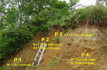 뫼지역은 6.6 ± 0.6 ~ 56 ± 2 (ka), 진현지역은 35 ± 2 ~ 50 ± 4 (ka), 수렴지역은 98 ± 7 ~ 110 ± 7 (ka), 하정지역은 100 ± 8 ~ 135 ± 26 (ka), 호미곶지역은 56 ± 3 ~ 71 ± 5 (ka) 로나타났다. 그림 3.2.5.1부터그림 3.2.5.6 까지는시료채취장소의노두사진과 OSL 연대결과이며, 그림 3.