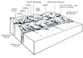 5 주향이동단층에서볼수있는변위지형 (Slemmons and Depolo in active tectonics, 1986)