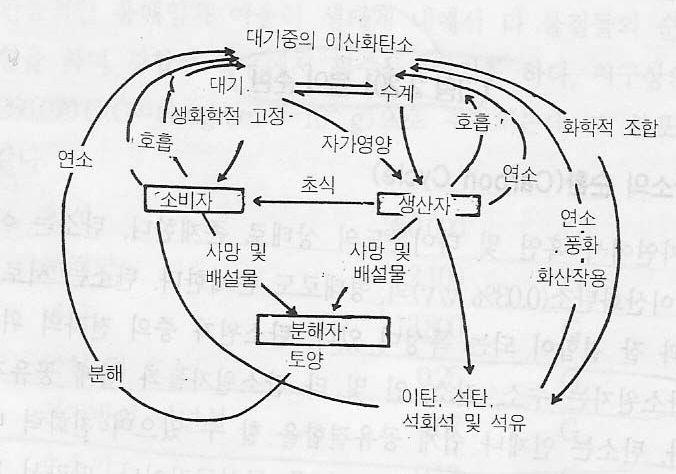 탄소순환 - 자연에서흑연, 다이아몬드, 이산화탄소형태로존재 -