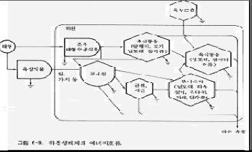 3. 에너지흐름