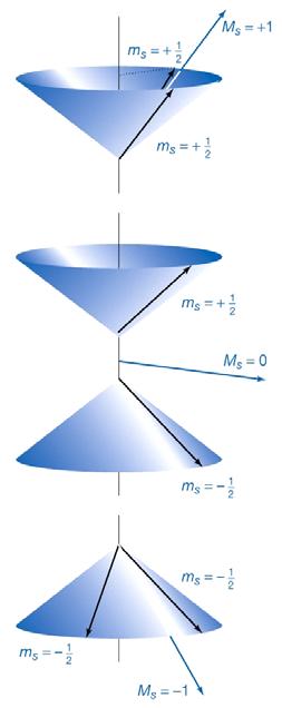 스핀다중도 (spin multiplicity) - 스핀다중도란?