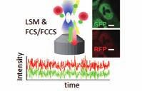 10 Cell-based Assays 01