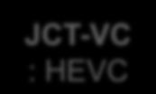 established by VCEG and MPEG on January, 2010.