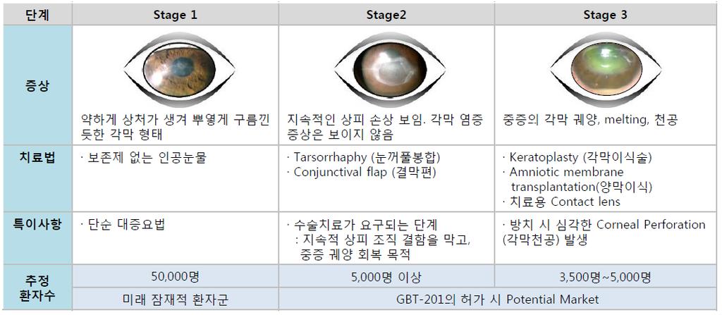 신경영양성각막염에대해전임상만마친 GBT-201 을약식으로 6 명의환자에게연구자임상을통해약물을주입한결과 6 명전원빠른시일내에각막이회복되었다. 이러한놀라운임상결과로인해지난해 8 월동사는 FDA 3 상으로바로진입했다.